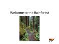 Welcome to the Rainforest PowerPoint PPT Presentation