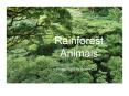 Rainforest Animals PowerPoint PPT Presentation