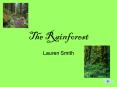 The Rainforest PowerPoint PPT Presentation