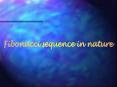 Fibonacci sequence in nature PowerPoint PPT Presentation
