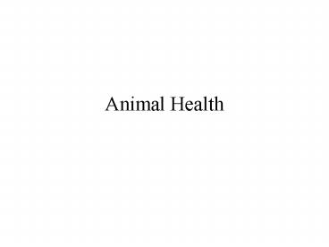 Animal Health