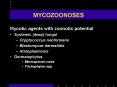 MYCOZOONOSES PowerPoint PPT Presentation