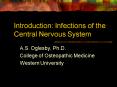 Introduction: Infections of the Central Nervous System PowerPoint PPT Presentation