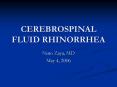CEREBROSPINAL FLUID RHINORRHEA PowerPoint PPT Presentation