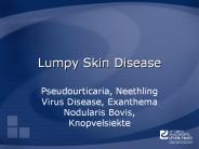 Lumpy%20Skin%20Disease