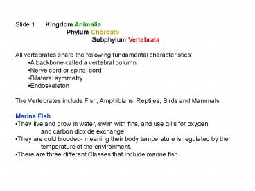 Slide 1   Kingdom Animalia