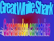 Great%20White%20Shark