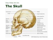 Class Slides Set 16A