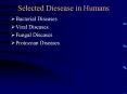 Selected Diesease in Humans PowerPoint PPT Presentation