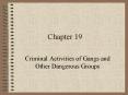 Criminal Activities of Gangs and Other Dangerous Groups PowerPoint PPT Presentation
