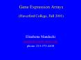 Gene Expression Arrays Haverford College, Fall 2001 PowerPoint PPT Presentation