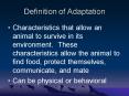 Definition of Adaptation PowerPoint PPT Presentation