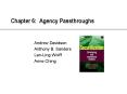 Chapter 6: Agency Passthroughs PowerPoint PPT Presentation