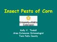 Insect Pests of Corn PowerPoint PPT Presentation