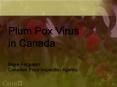 Plum Pox Virus in Canada Year 2001 PowerPoint PPT Presentation