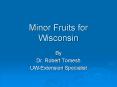 Minor Fruits for Wisconsin PowerPoint PPT Presentation