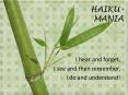 HAIKU- MANIA PowerPoint PPT Presentation