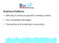 Business Problems: PowerPoint PPT Presentation