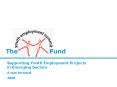 Supporting Youth Employment Projects in Emerging Sectors PowerPoint PPT Presentation