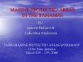 MARINE PROTECTED AREAS IN THE BAHAMAS PowerPoint PPT Presentation
