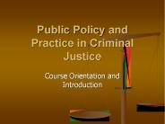 Public Policy and Practice in Criminal Justice