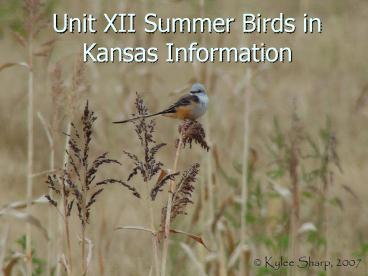 Unit%20XII%20Summer%20Birds%20in%20Kansas%20Information