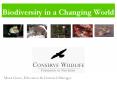 Biodiversity in a Changing World PowerPoint PPT Presentation