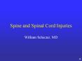 Spine and Spinal Cord Injuries PowerPoint PPT Presentation