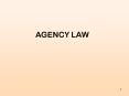AGENCY LAW PowerPoint PPT Presentation