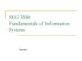 SEG 3550 Fundamentals of Information Systems PowerPoint PPT Presentation
