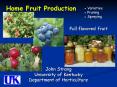 Home Fruit Production PowerPoint PPT Presentation