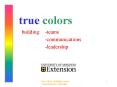 true colors PowerPoint PPT Presentation