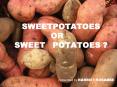 SWEETPOTATOES OR SWEET POTATOES PowerPoint PPT Presentation