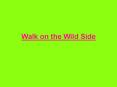 Walk on the Wild Side PowerPoint PPT Presentation