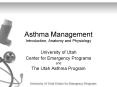 Asthma Management Introduction, Anatomy and Physiology PowerPoint PPT Presentation