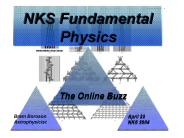 NKS Fundamental Physics