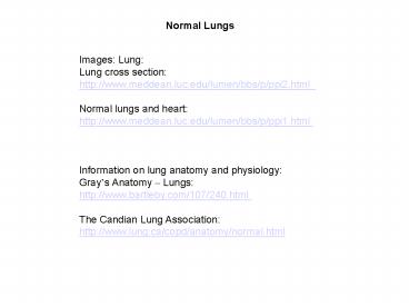 Normal Lungs