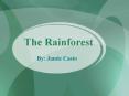 The Rainforest PowerPoint PPT Presentation