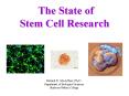 The State of Stem Cell Research PowerPoint PPT Presentation