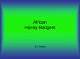 African HoneyBadgers PowerPoint PPT Presentation
