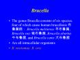 Brucella PowerPoint PPT Presentation