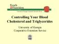 Controlling Your Blood Cholesterol and Triglycerides PowerPoint PPT Presentation