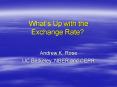 Whats Up with the Exchange Rate PowerPoint PPT Presentation