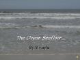 The Ocean Seafloor PowerPoint PPT Presentation