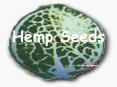 Hemp Seeds PowerPoint PPT Presentation