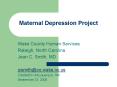 Maternal Depression Project PowerPoint PPT Presentation