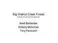Big Walnut Creek Forest A study of soil and tree species PowerPoint PPT Presentation