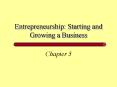 Entrepreneurship: Starting and Growing a Business PowerPoint PPT Presentation