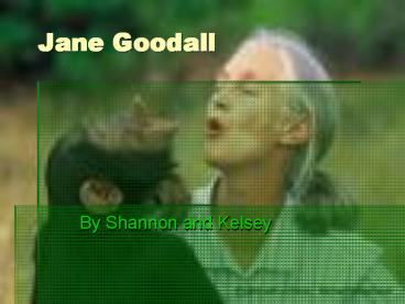 Jane Goodall