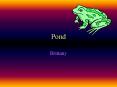 Pond PowerPoint PPT Presentation